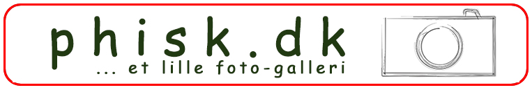 phisk.dk logo